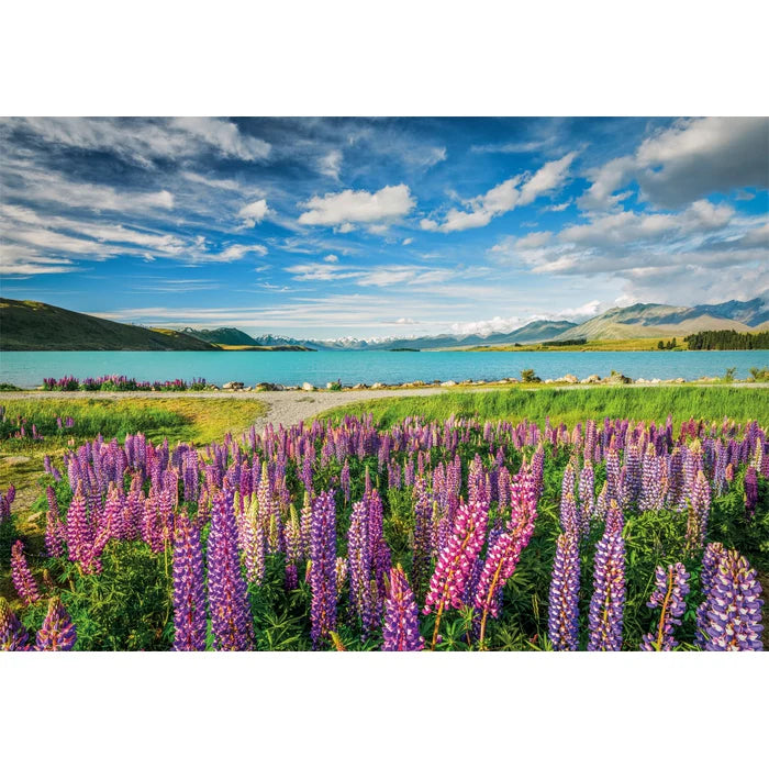 Clementoni Παζλ High Quality Collection Lupins at Lake Tekapo 1500 τμχ (1220-31731) - Fun Planet