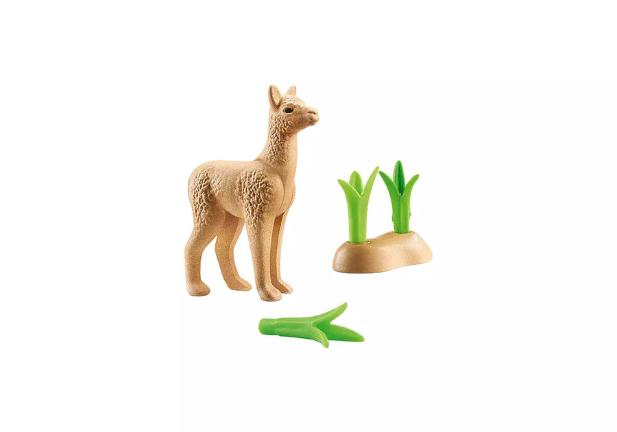 Playmobil Wiltopia Μωρό αλπακά (71064) - Fun Planet