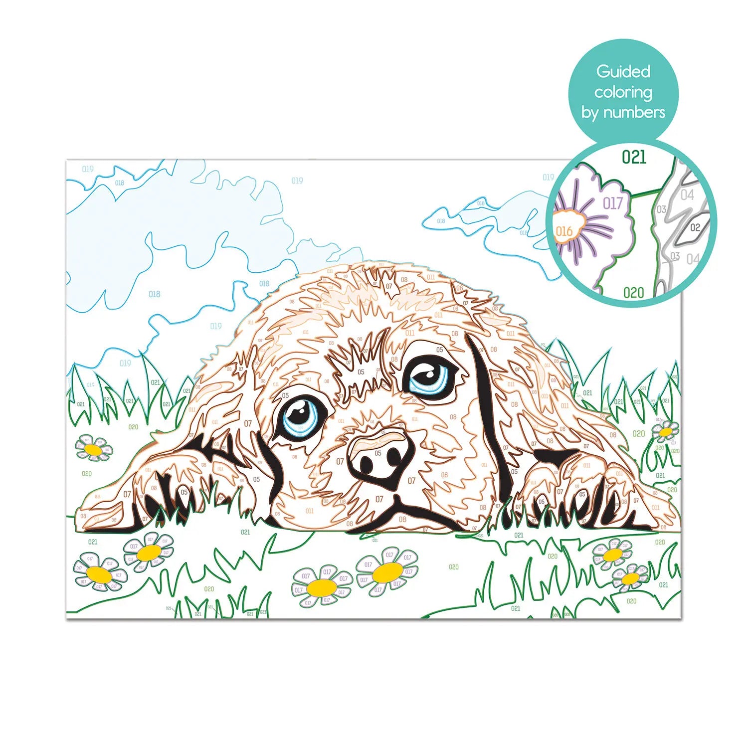 Paint & Frame Ζωγραφίζω Με Αριθμούς Loving Puppy (1038-41012) - Fun Planet