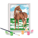 Paint & Frame Ζωγραφίζω Με Αριθμούς Wild Horse (1038-41015) - Fun Planet