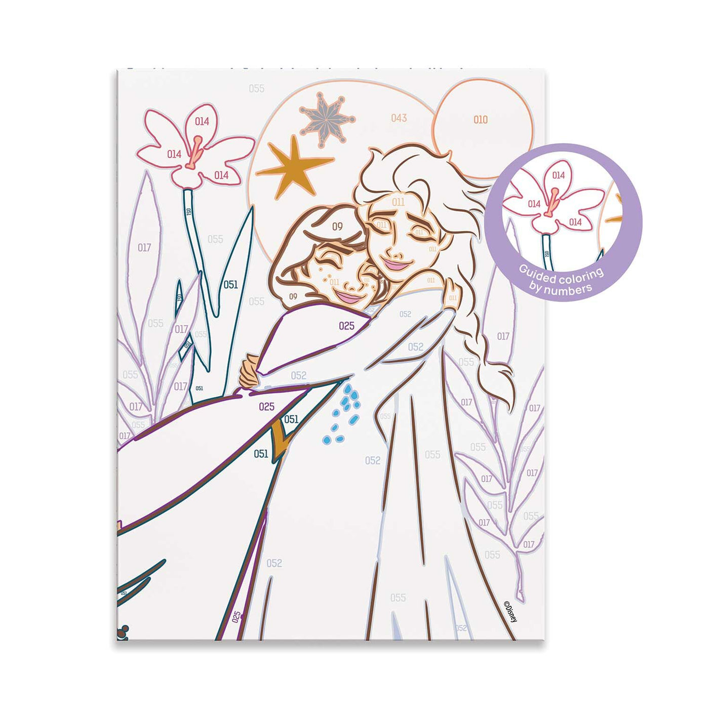 HappiHobbi Paint & Frame Paint by Numbers Disney Frozen (1038-41034) - Fun Planet