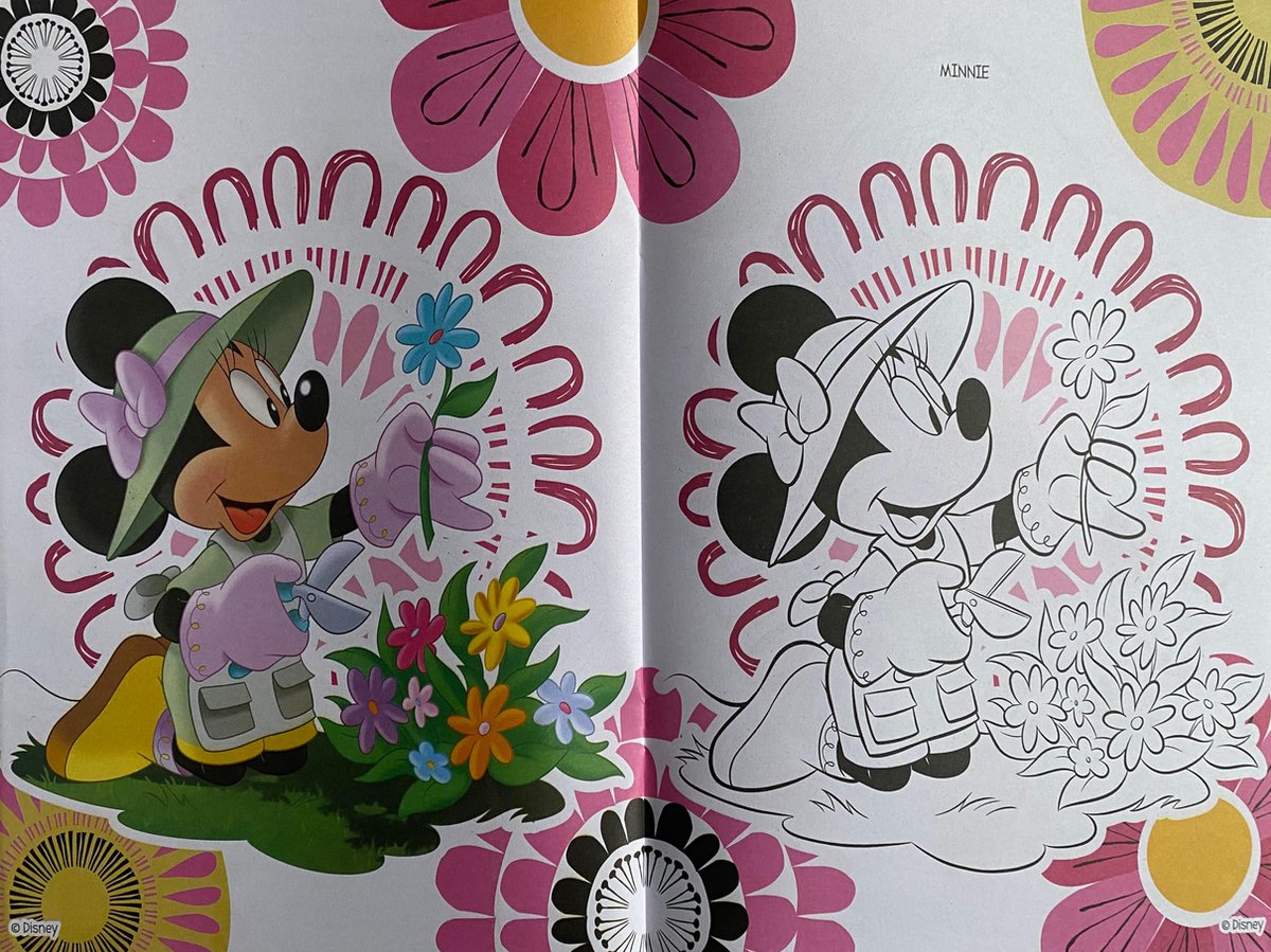Disney Minnie Mouse Βιβλίο Ζωγραφικής Multicolor Α4 με 32 Σελίδες Χρωματισμού (400199) - Fun Planet