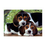 Clementoni Puzzle 500 Peace Puzzles Living The Present (1220-35120)