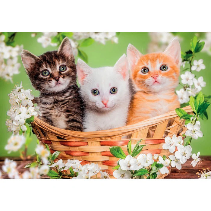 Clementoni Παζλ 2X60 Special Color Brothers in Fur (1200-24820) - Fun Planet
