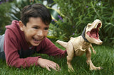 Jurassic World T-Rex Που Ανιχνεύει Και Δαγκώνει (HNT62) - Fun Planet