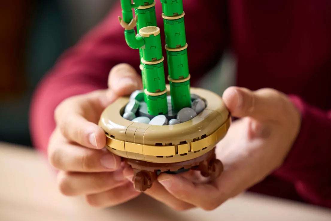 LEGO Botanical Lucky Bamboo (10344) - Fun Planet