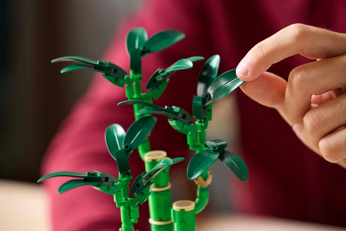 LEGO Botanical Lucky Bamboo (10344) - Fun Planet