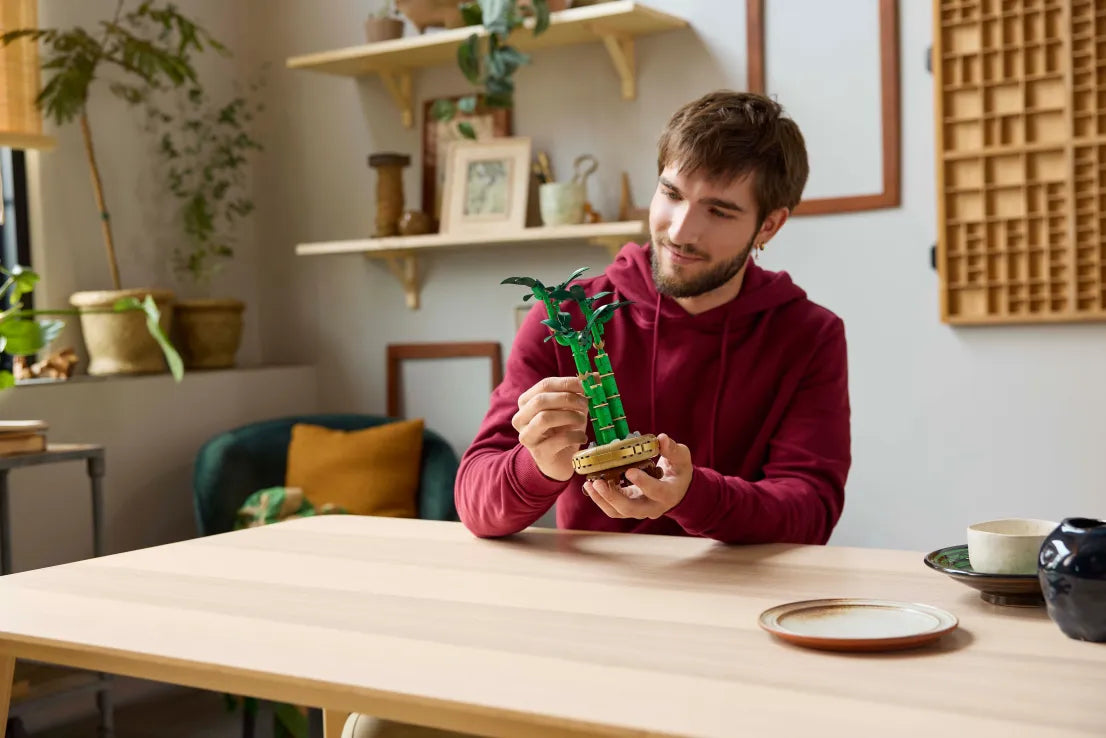 LEGO Botanical Lucky Bamboo (10344) - Fun Planet