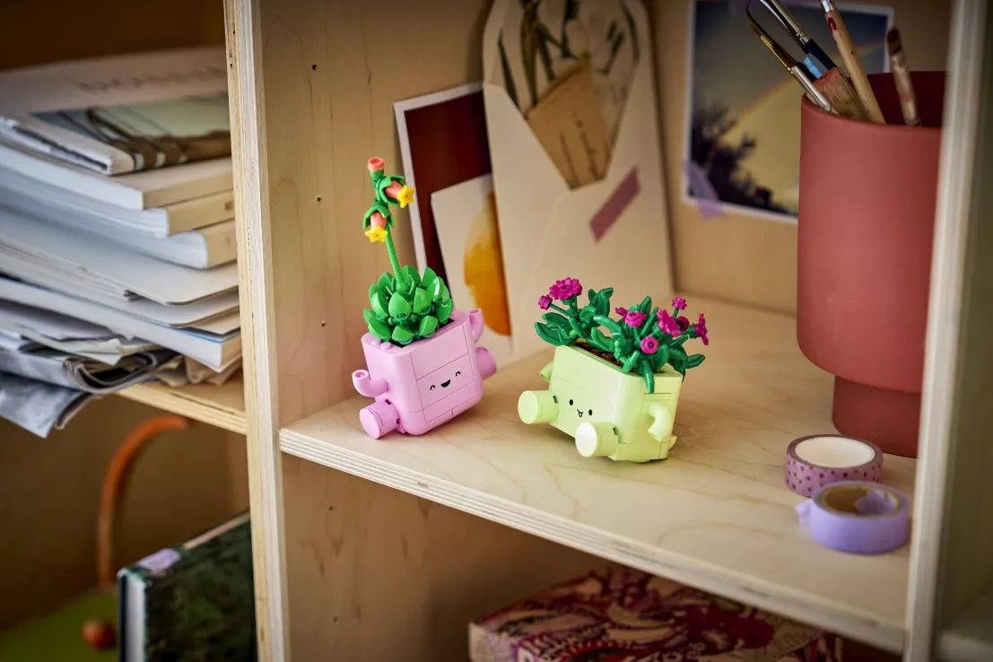 LEGO® Botanicals Rocking Plants (11506) - Fun Planet