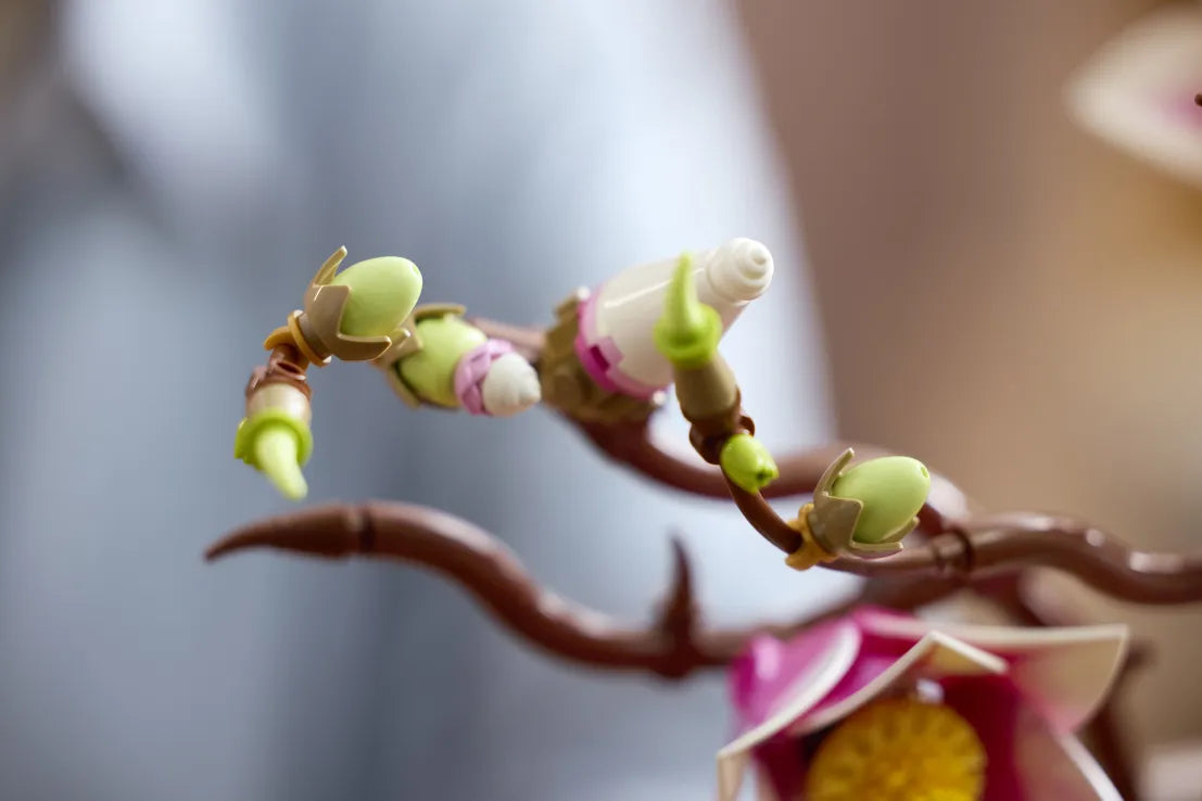 LEGO Botanicals Magnolia Branches (11510) - Fun Planet