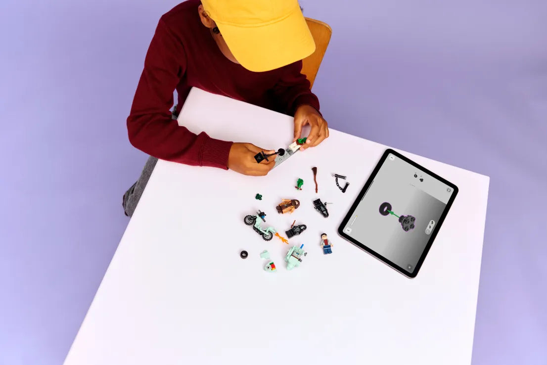 LEGO Harry Potter Hagrid & Harry's Privet Drive Escape (76459)