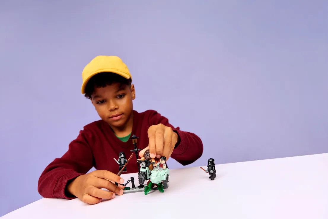 LEGO Harry Potter Hagrid & Harry's Privet Drive Escape (76459)