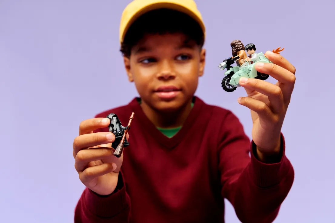 LEGO Harry Potter Hagrid & Harry's Privet Drive Escape (76459)