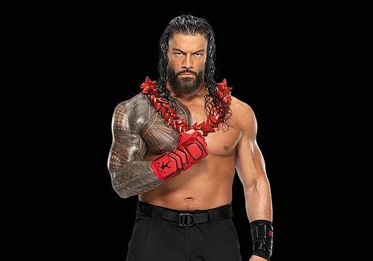 Playmobil WWE® Roman Reigns (71960)