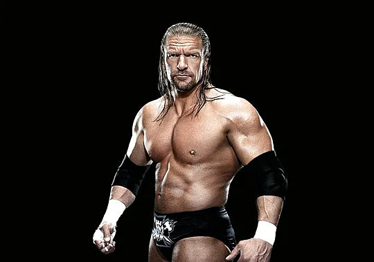 Playmobil WWE® Triple H (71963)