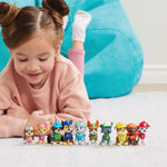 Paw Patrol Multipack Ήρωες Φιγούρες (6065255) - Fun Planet