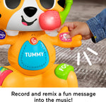 Fisher Price Link Squad Τίγρης Ο Τραγουδιστούλης (HYL08) - Fun Planet