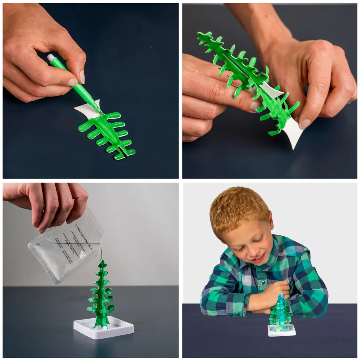 Learn &amp; Create T-Rex &amp; Triceratops Augmented Reality (1026-63403)