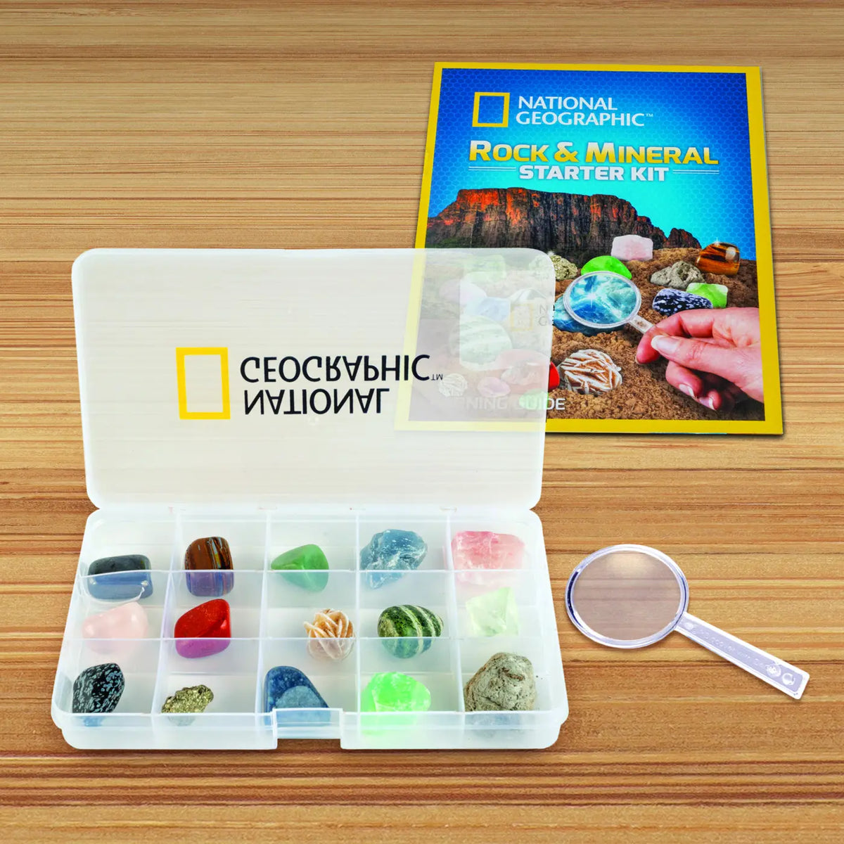 Learn &amp; Create T-Rex &amp; Triceratops Augmented Reality (1026-63403)