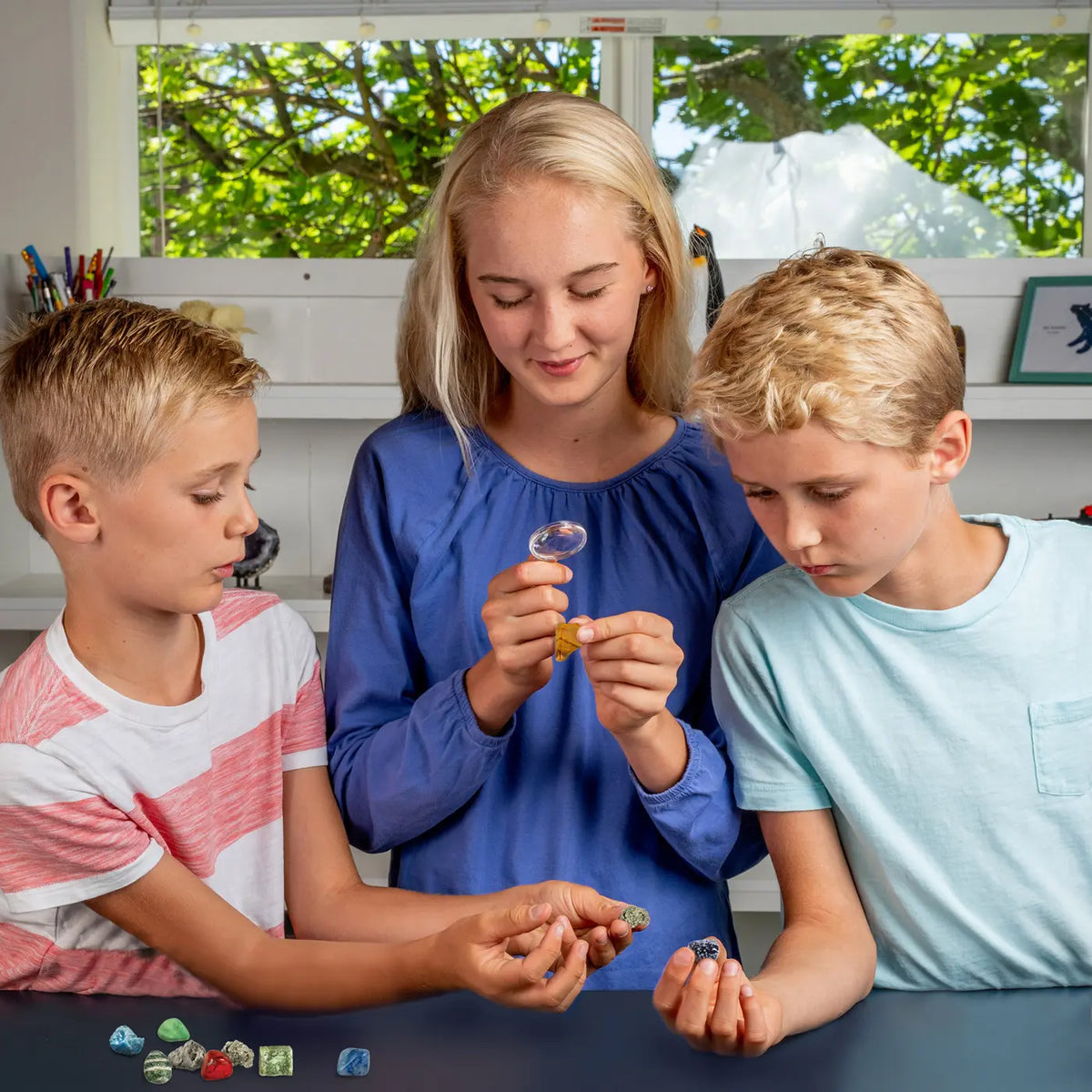 Learn &amp; Create T-Rex &amp; Triceratops Augmented Reality (1026-63403)