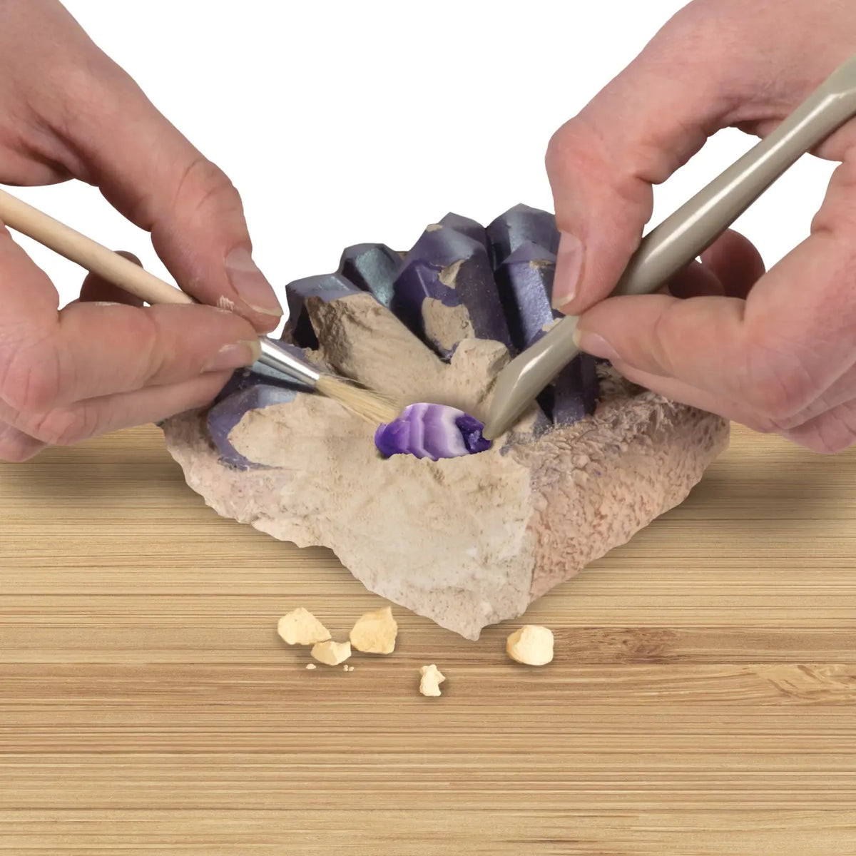 Learn &amp; Create T-Rex &amp; Triceratops Augmented Reality (1026-63403)