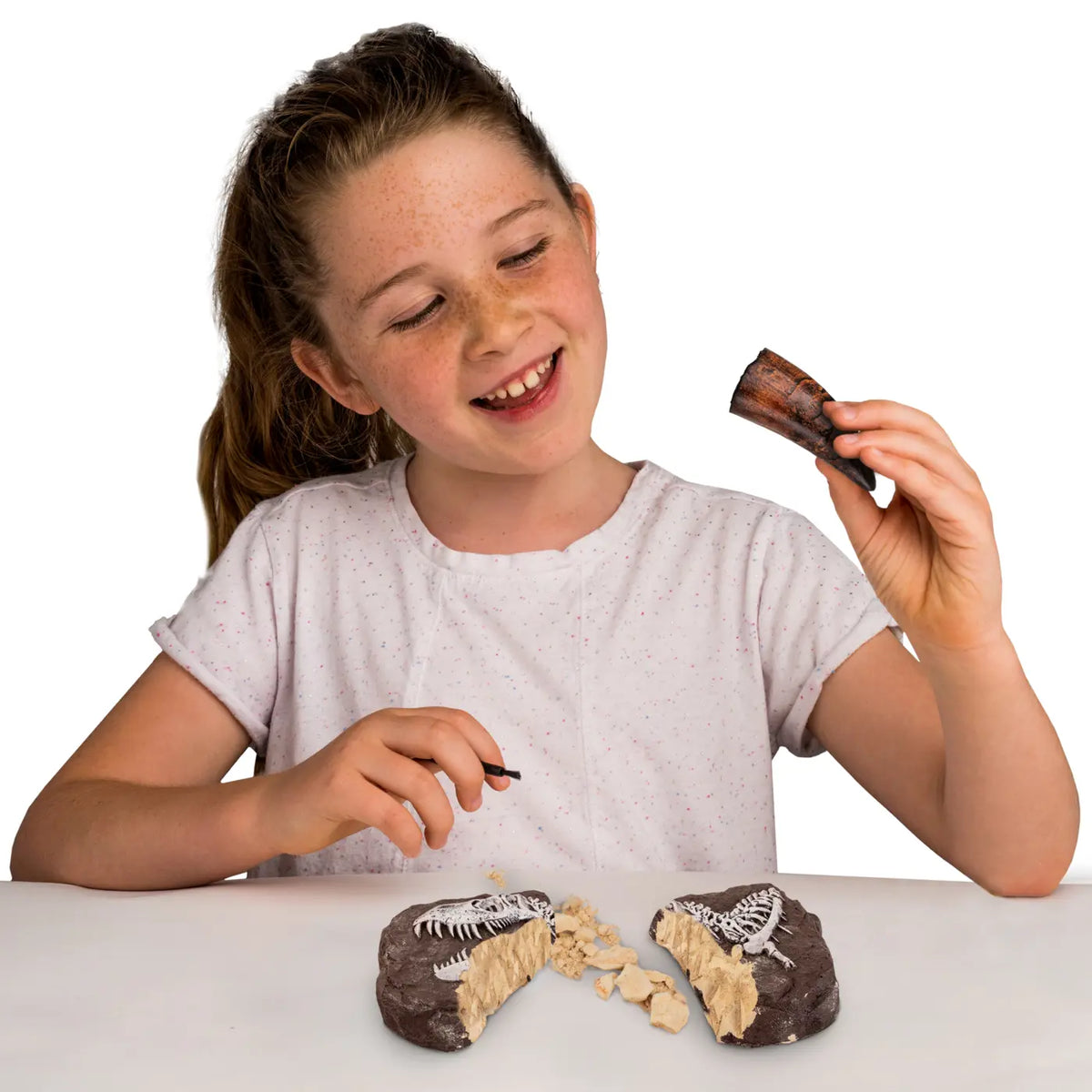 Learn &amp; Create T-Rex &amp; Triceratops Augmented Reality (1026-63403)
