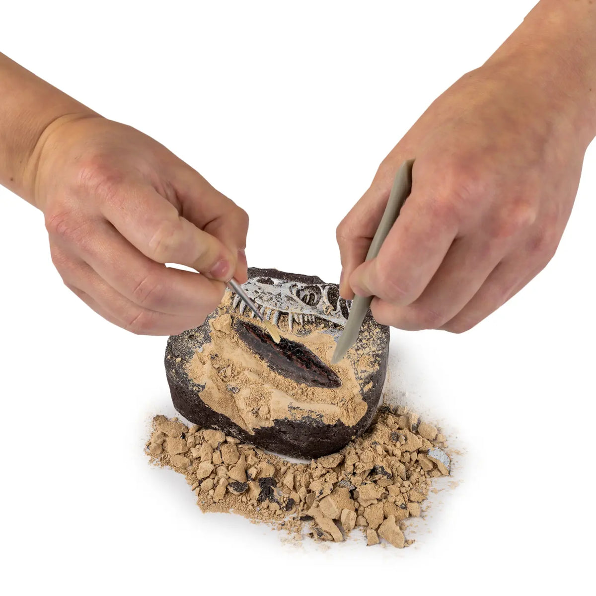 Learn &amp; Create T-Rex &amp; Triceratops Augmented Reality (1026-63403)
