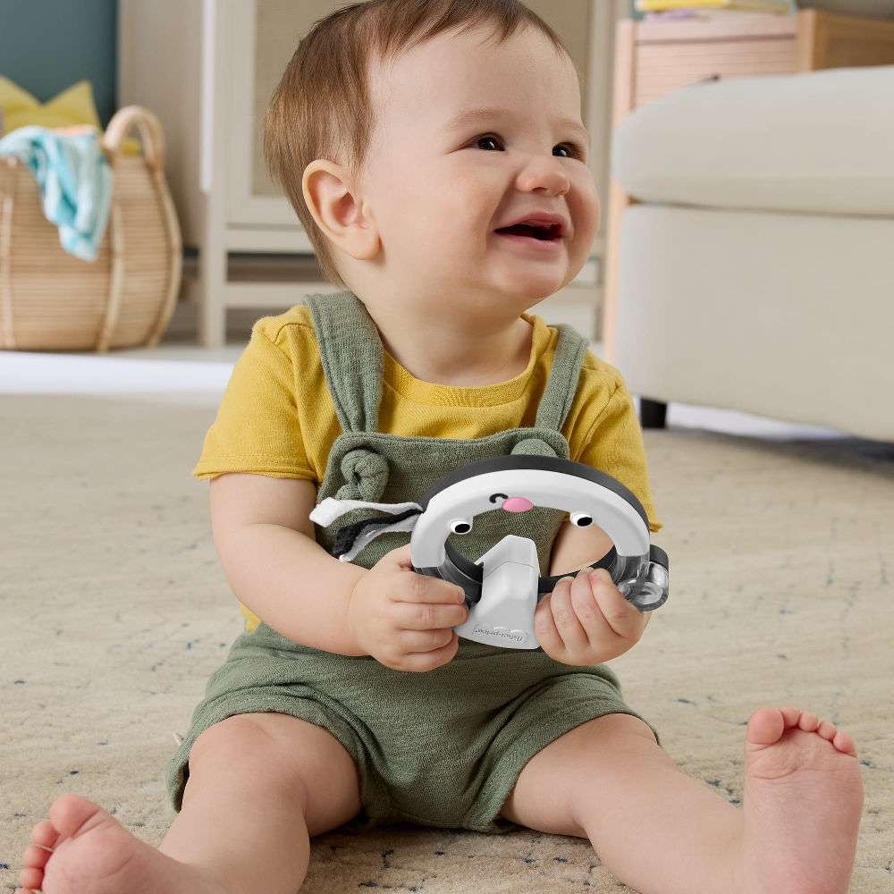 Fisher-Price Κουδουνίστρα Ζωάκι Δαχτυλίδι Δραστηριοτήτων Stinkin Cute Skunk (JKW57) - Fun Planet