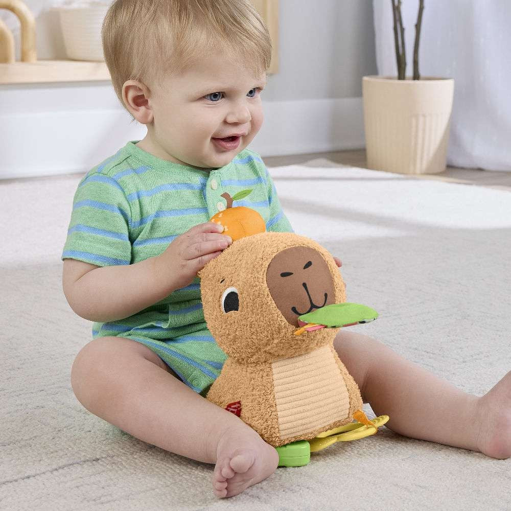 Fisher-Price Μαλακό Καπιμπάρα Δραστηριοτήτων (HYR54) - Fun Planet