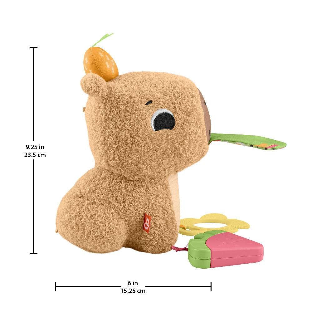 Fisher-Price Μαλακό Καπιμπάρα Δραστηριοτήτων (HYR54) - Fun Planet