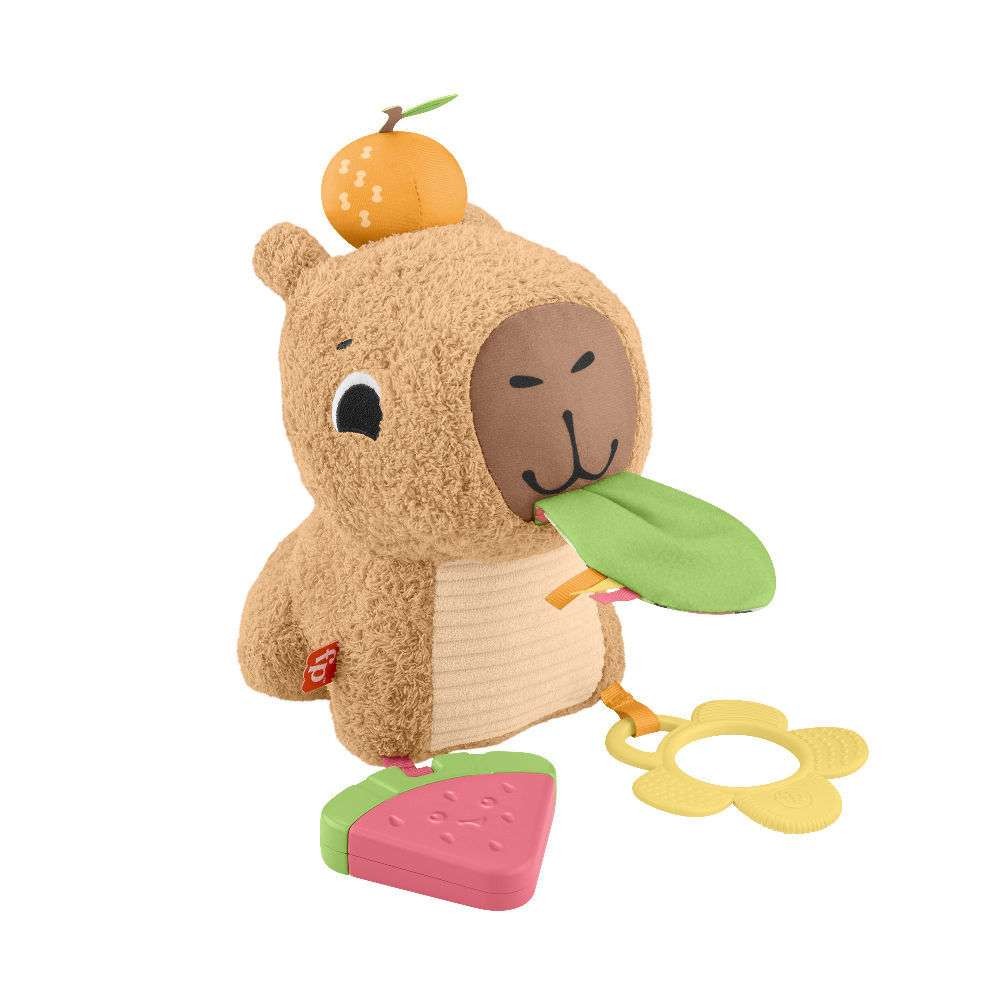 Fisher-Price Μαλακό Καπιμπάρα Δραστηριοτήτων (HYR54) - Fun Planet
