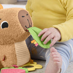 Fisher Price Marrakesh (BLT33)