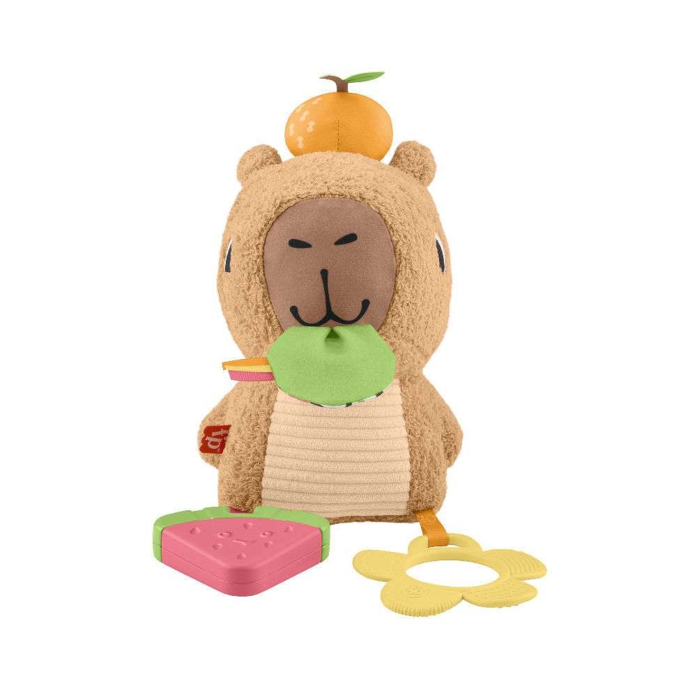 Fisher-Price Μαλακό Καπιμπάρα Δραστηριοτήτων (HYR54) - Fun Planet