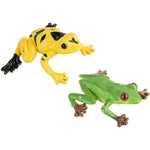 Toob Μινιατούρες Safari Frogs & Turtles - Βάτραχοι και Χελώνες 12 τεμάχια (SAFA694804) - Fun Planet