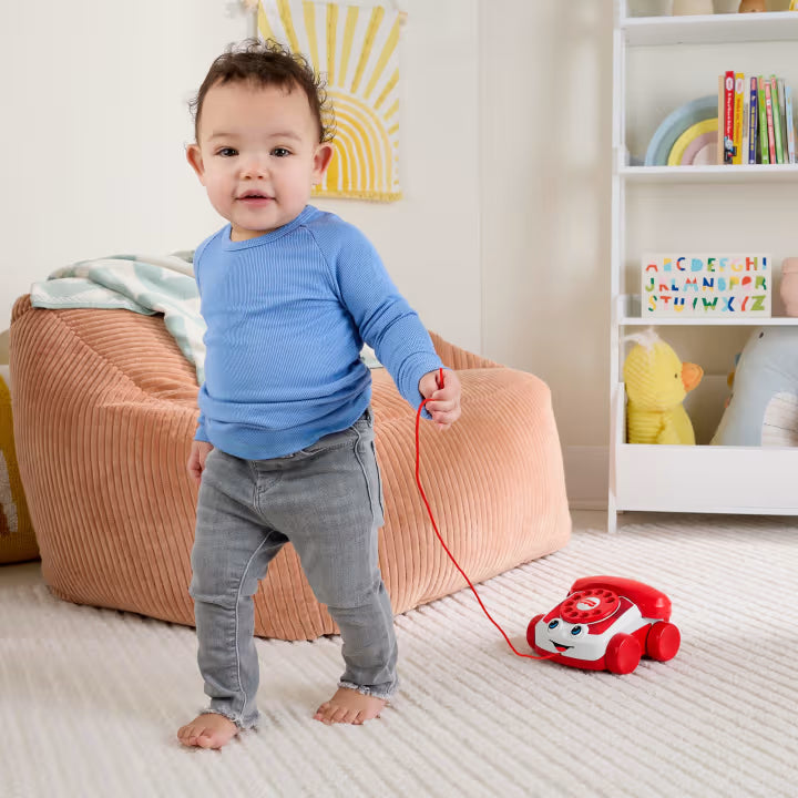 Fisher-Price Hanging Monkey with Music (JFF02)