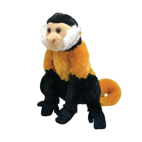 Wild Planet Λούτρινο Tufted Capuchin Monkey 25cm (K8190) - Fun Planet