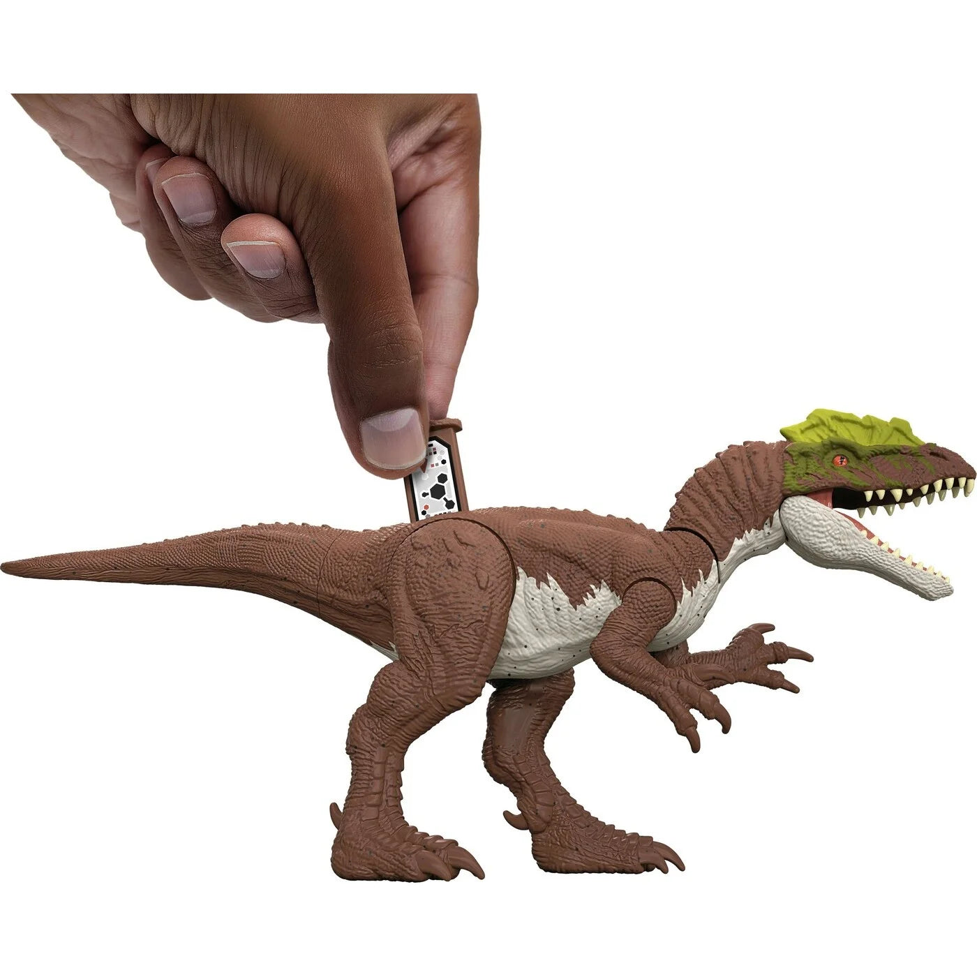 Jurassic World Βασικές Φιγούρες Δεινοσαύρων Lophostropheus (JCL53) - Fun Planet