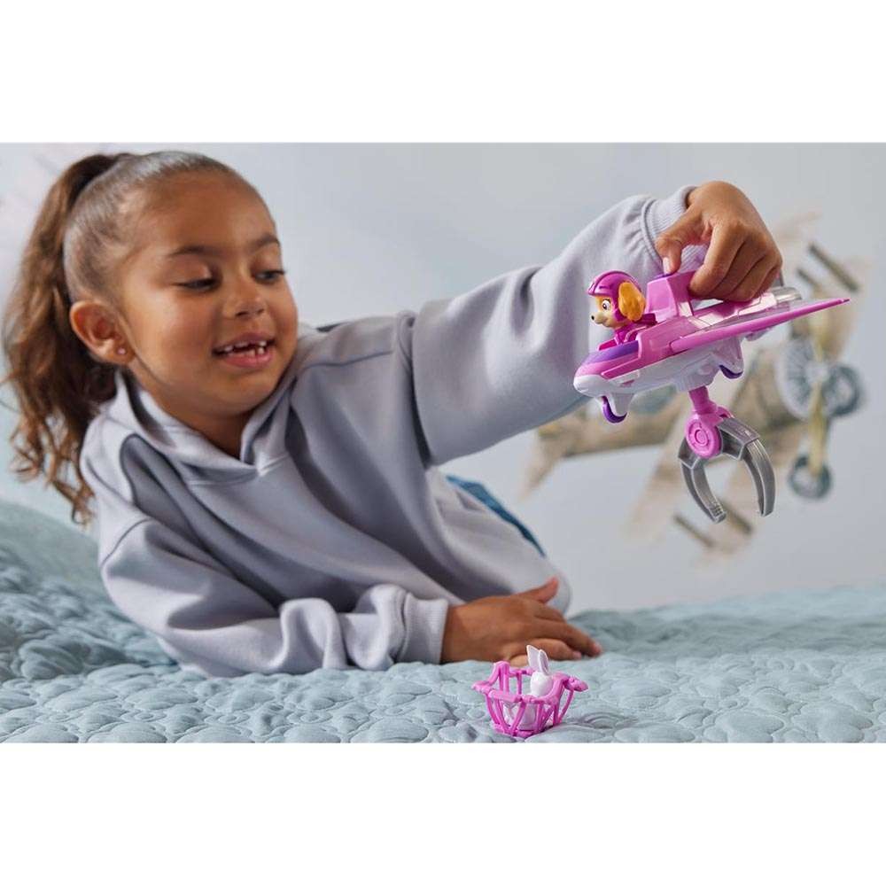 Paw Patrol Air Rescue Skye Hero Claw Jet Vehicle & Figure (20149064)