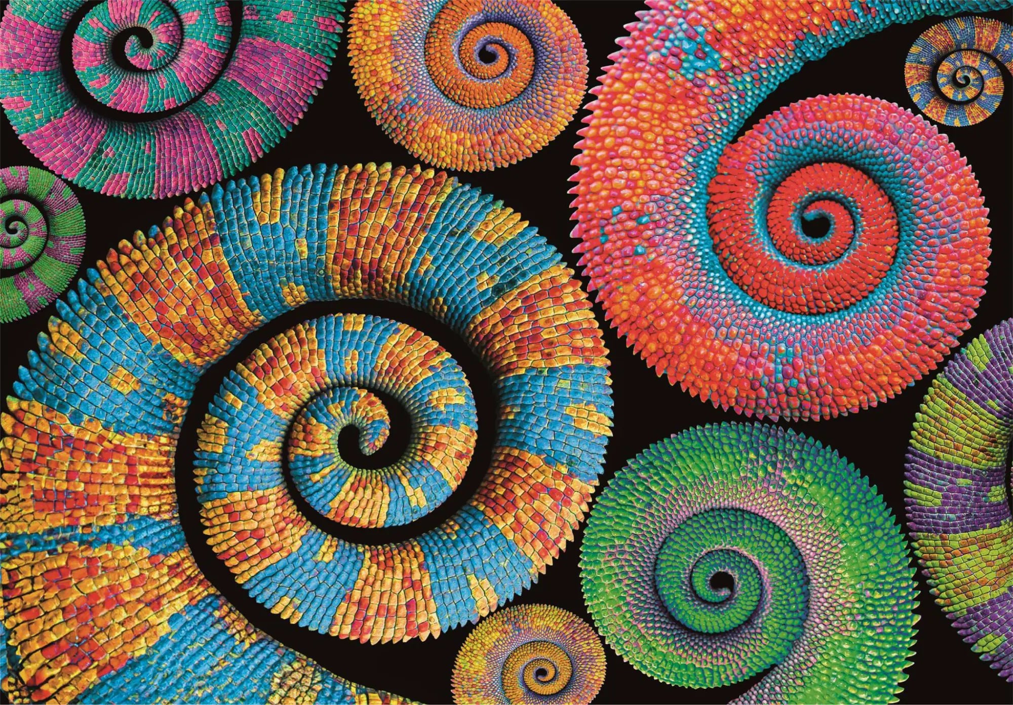 Clementoni Παζλ High Quality Collection Curly Tails 500 τμχ - Compact Box (1220-35529) - Fun Planet