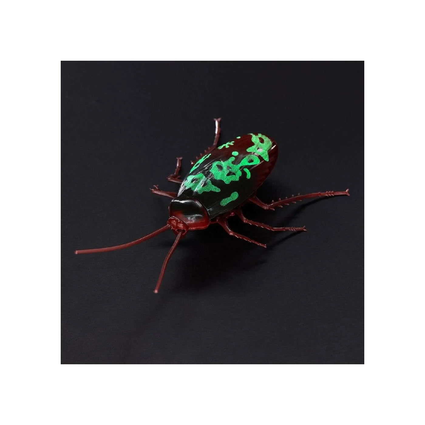 Robo Alive Creepy Crawlies Ρομποτική Κατσαρίδα Που Φωσφορίζει Στο Σκοτάδι (11807152) - Fun Planet