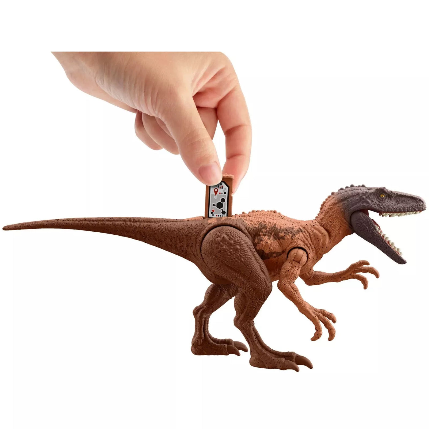 Jurassic World Νέες Φιγούρες Δεινοσαύρων με Σπαστά Μέλη Herrerasaurus (JCL59) - Fun Planet