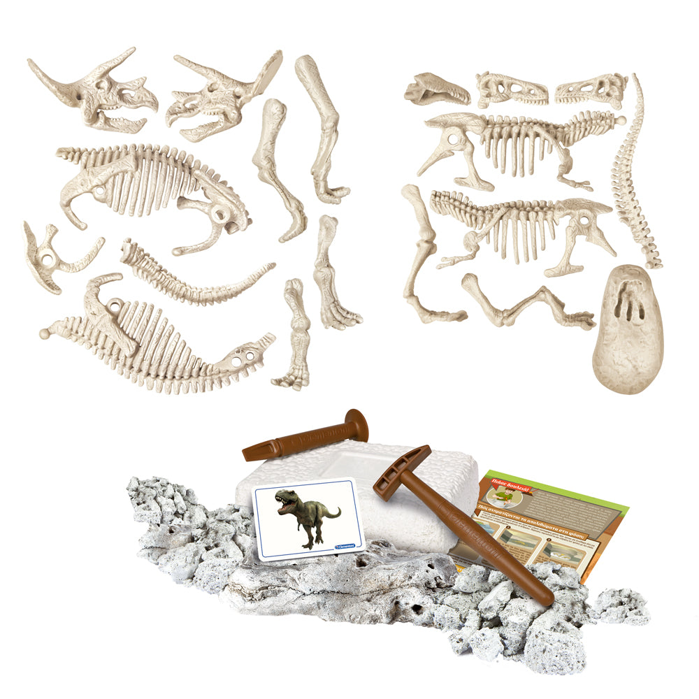 Μαθαίνω & Δημιουργώ T-Rex & Τρικεράτωψ Επαυξημένη Πραγματικότητα  (1026-63403) - Fun Planet