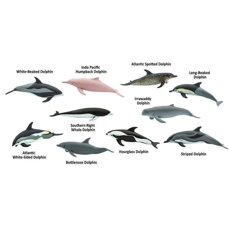 Toob Dolphins Σετ 10 Ζωάκια (SAFA100475) - Fun Planet