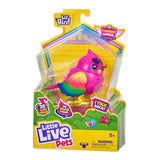 Little Live Pets Πουλάκι Cocoritos S3 Pippy Hippy (LPB12000) - Fun Planet