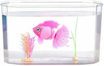 Little Live Pets Ενυδρείο με Ψαράκι Aquaritos (LP103000) - Fun Planet