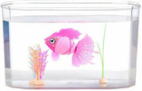 Little Live Pets Ενυδρείο με Ψαράκι Aquaritos (LP103000) - Fun Planet